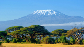 Das ultimative Abenteuer: Den Kilimanjaro besteigen
